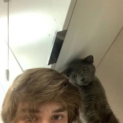 спайс