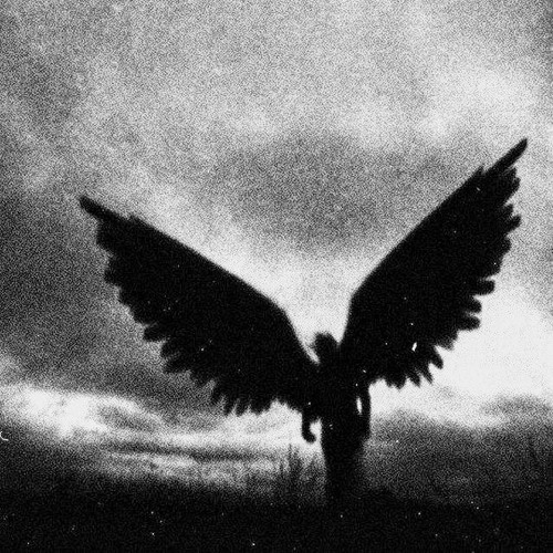 Anonymous Ember - EXTASYFLOW (speed up)