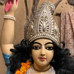 Nitai Chandra🪷