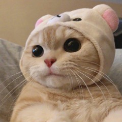 ネクター