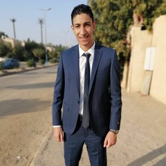 Mina Gerges