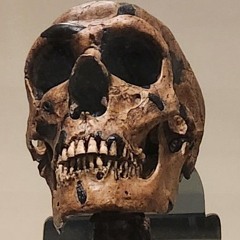 (we were) Mere Mortals