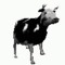 K.bry.julle