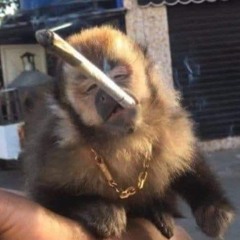 🚩