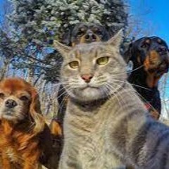 pister - mocny przekaz (prod. veany)