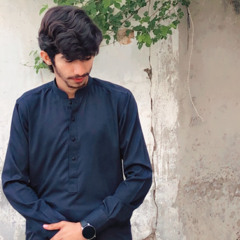 چوھدری محسن شاہد