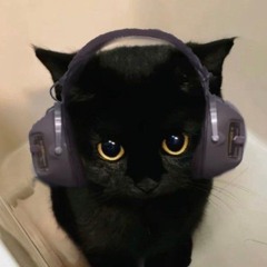 vague (monica + dtailor)