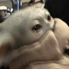 AyyGoldy