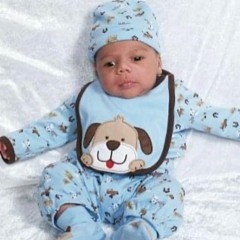 Payden Mears
