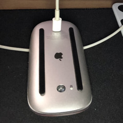 Nintendo Wii No. 1 Fan