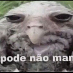 Pode não man