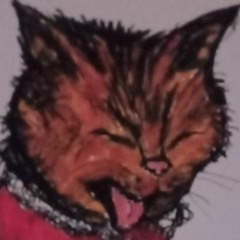 satsumer