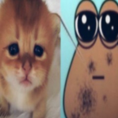 ou