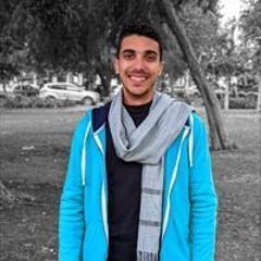 Mohamed El-Hendawi