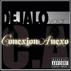 Conexión-Anexo