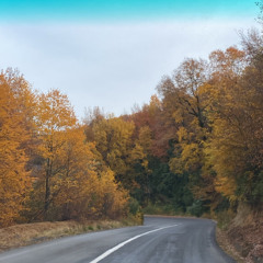 duv van