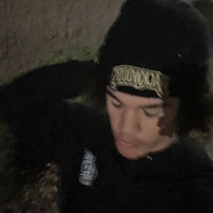 mih.alja @prestigee.138