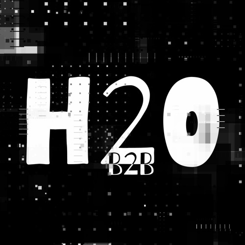 H20 B2B’s avatar