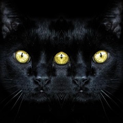 Ë̵̛̠̈́̊̐̍͗́͆͝n̶̡̛̻͓̄̓̍̐͋́͝