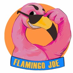 Flamingo Joe