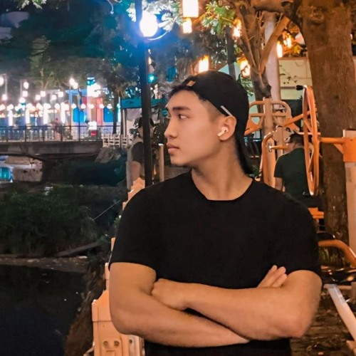 Hùng Lưu Gia — artist photo