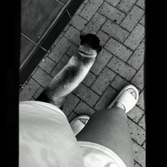 damkaa)