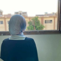 Yomna Elrayes