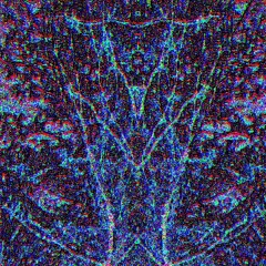 speed system of distortion