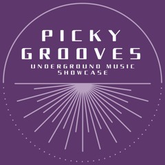 PICKY GROOVES