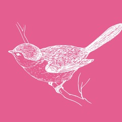 Stream ピアノタイム Vol 3 星に願いを 演奏 吉田明香里先生 By ことりラジオ Listen Online For Free On Soundcloud