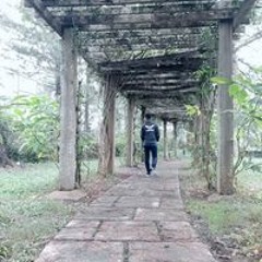 Trung Thống