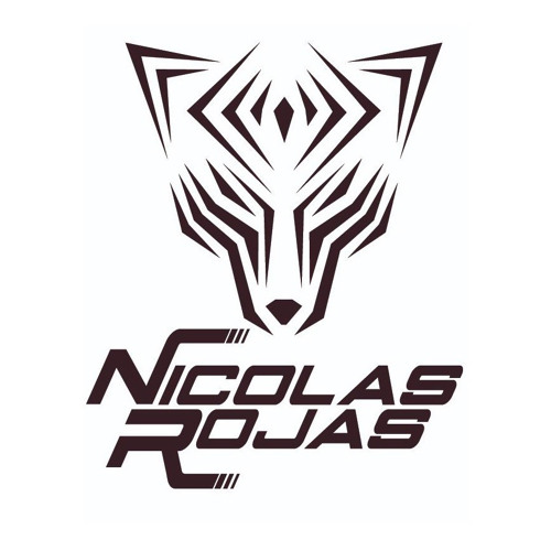 Nicolas Rojas’s avatar