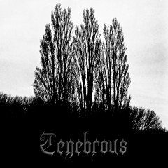 Malevolent Winter