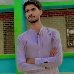 Hassan Raza