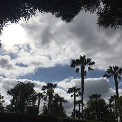 dahliarainclouds