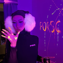 porschegoesvroom