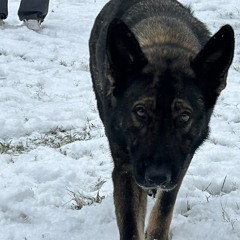 A. O read bio if u want