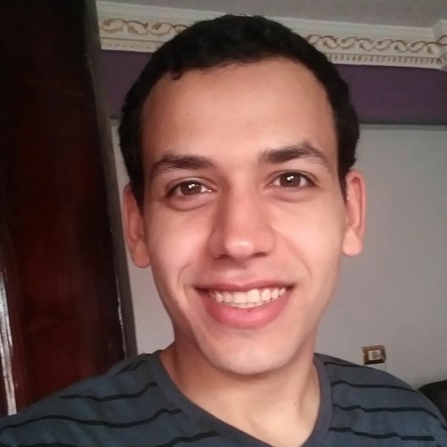 Ahmed E Elgoaody’s avatar