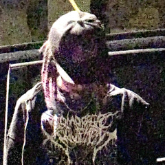 PUNKSTARKC
