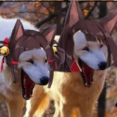 Onlyuwuplz