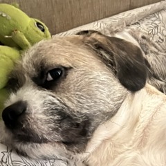 mo