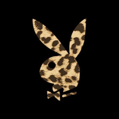 PlayBoy