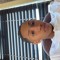 awande.xaba