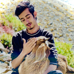Muhammad Amir