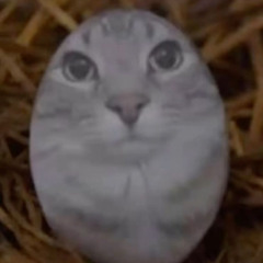 Iyzvvk