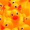 ducky_music