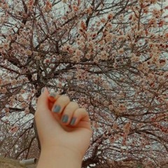 Areeshay