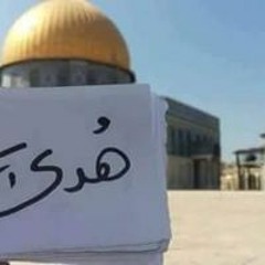 أم فارس