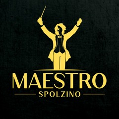 Maestro Spolzino