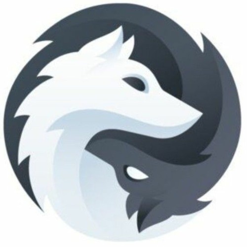 Pascal Wolf’s avatar